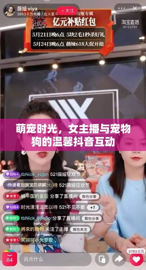 萌寵時(shí)光，女主播與寵物狗的溫馨抖音互動(dòng)