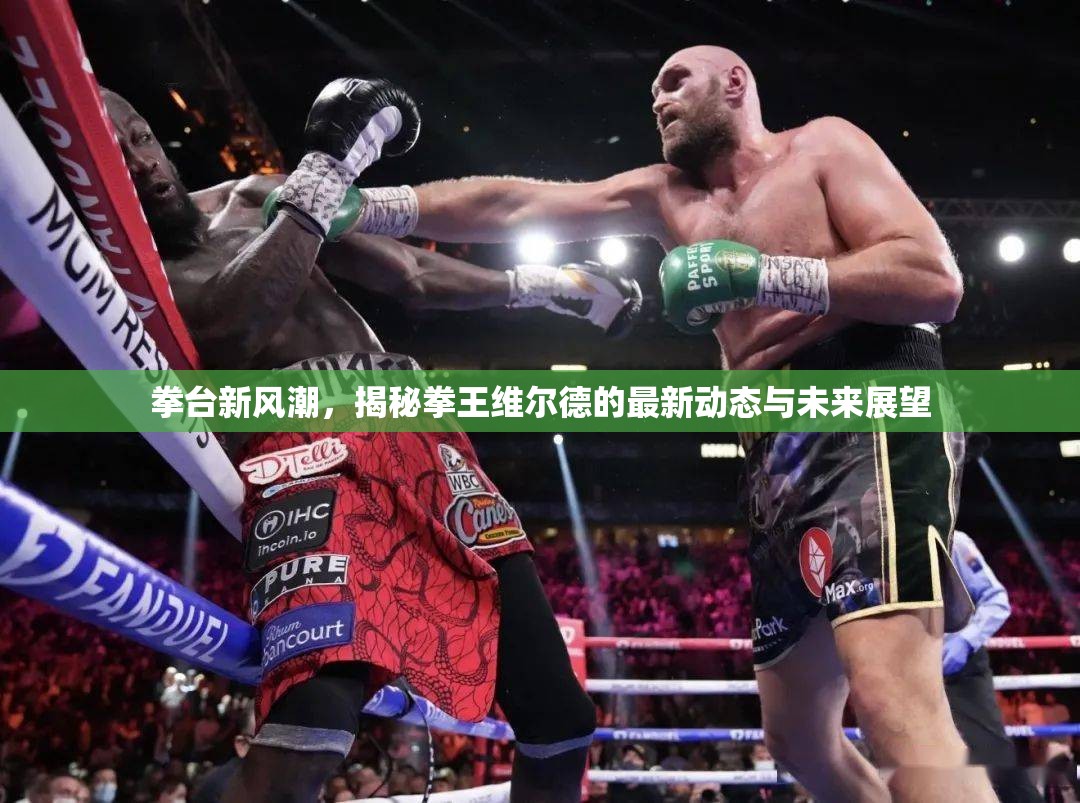 拳臺(tái)新風(fēng)潮，揭秘拳王維爾德的最新動(dòng)態(tài)與未來(lái)展望