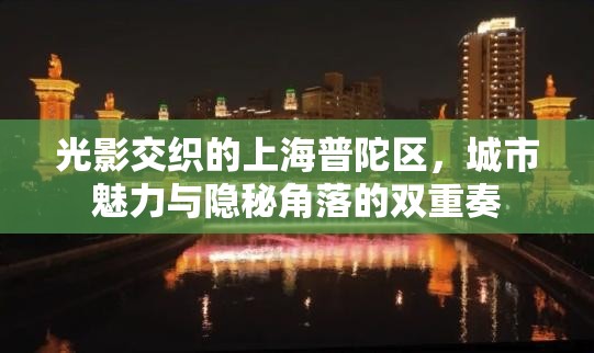 光影交織的上海普陀區(qū)，城市魅力與隱秘角落的雙重奏
