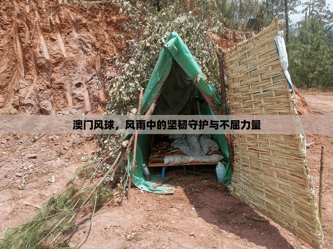 澳門風(fēng)球，風(fēng)雨中的堅韌守護(hù)與不屈力量
