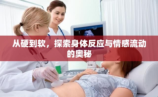 從硬到軟，探索身體反應(yīng)與情感流動的奧秘