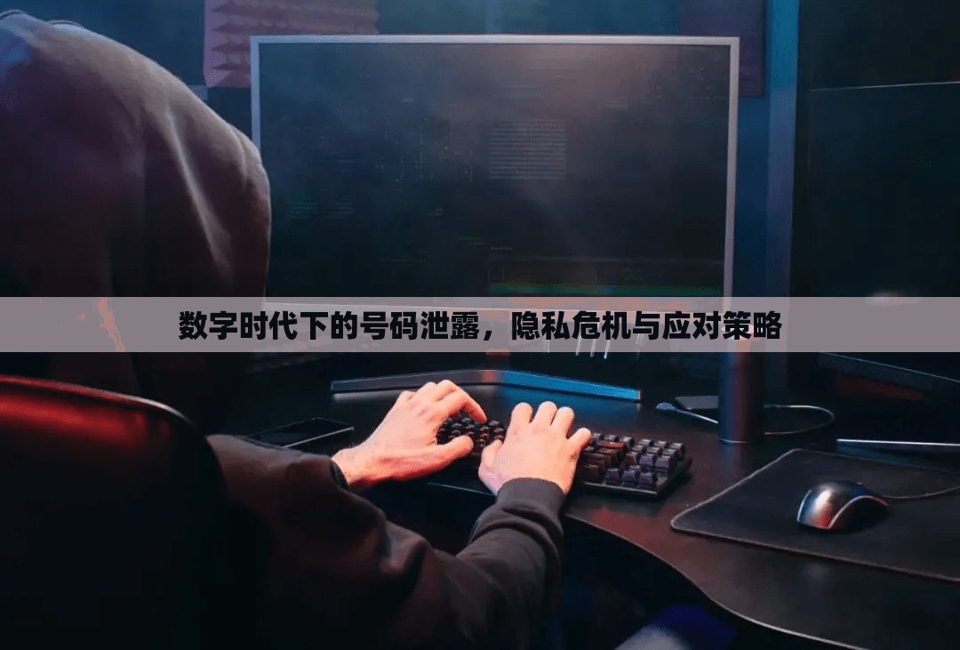 數(shù)字時(shí)代下的號(hào)碼泄露，隱私危機(jī)與應(yīng)對(duì)策略