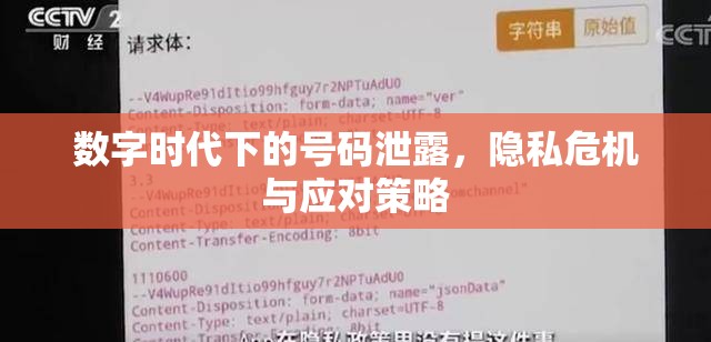 數(shù)字時(shí)代下的號(hào)碼泄露，隱私危機(jī)與應(yīng)對(duì)策略