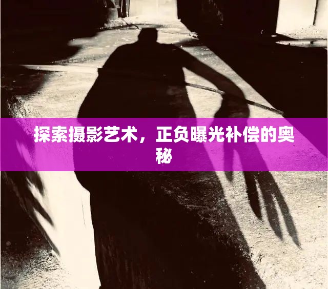 探索攝影藝術，正負曝光補償的奧秘