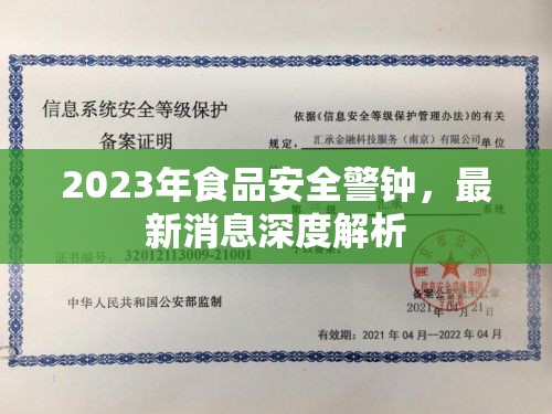 2023年食品安全警鐘，最新消息深度解析
