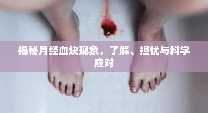 揭秘月經(jīng)血塊現(xiàn)象，了解、擔(dān)憂與科學(xué)應(yīng)對