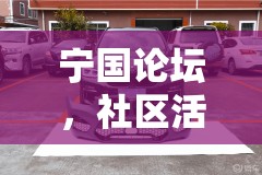 寧國論壇，社區(qū)活力與數(shù)字轉(zhuǎn)型的雙重奏鳴