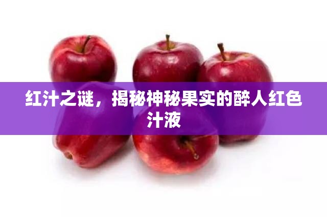 紅汁之謎，揭秘神秘果實的醉人紅色汁液