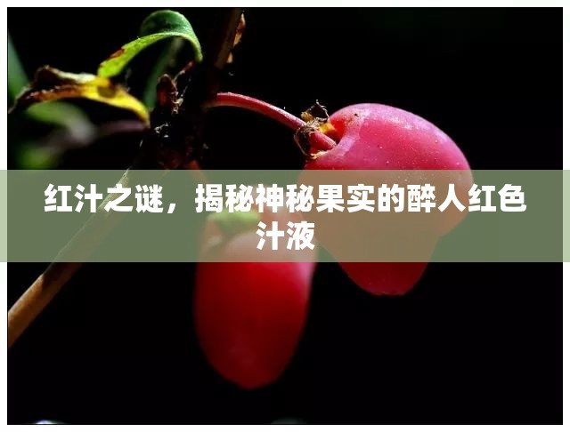 紅汁之謎，揭秘神秘果實的醉人紅色汁液