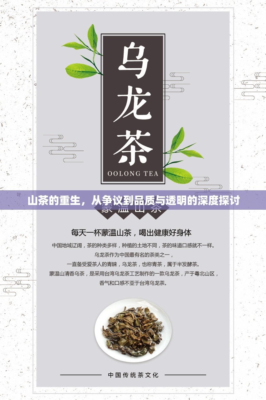 山茶的重生，從爭議到品質(zhì)與透明的深度探討