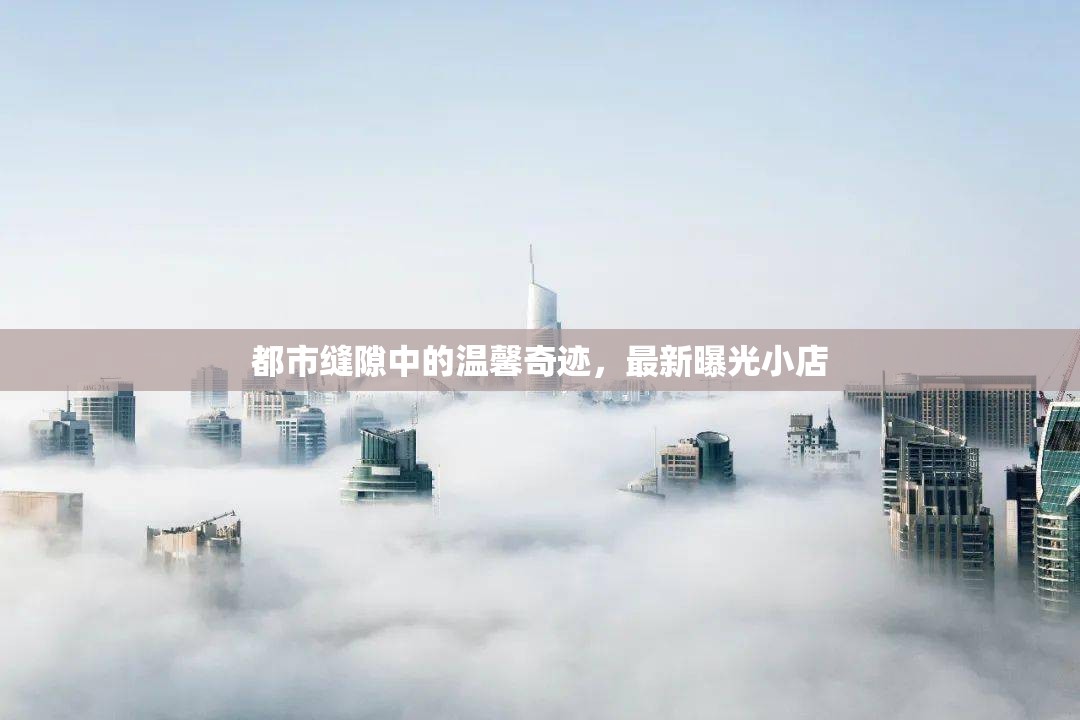 都市縫隙中的溫馨奇跡，最新曝光小店