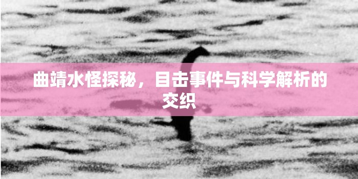 曲靖水怪探秘，目擊事件與科學解析的交織
