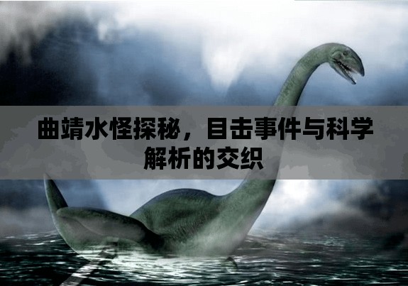 曲靖水怪探秘，目擊事件與科學解析的交織