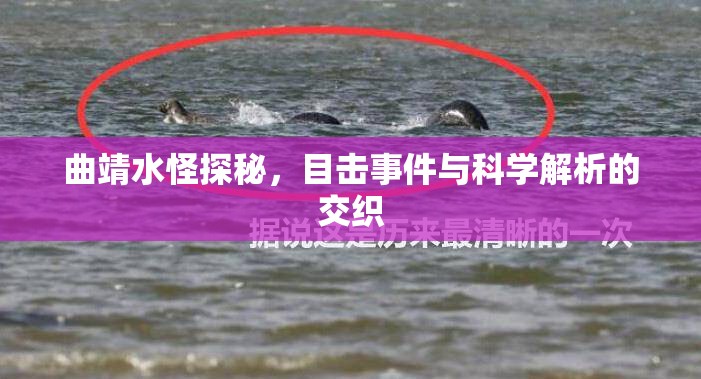 曲靖水怪探秘，目擊事件與科學解析的交織
