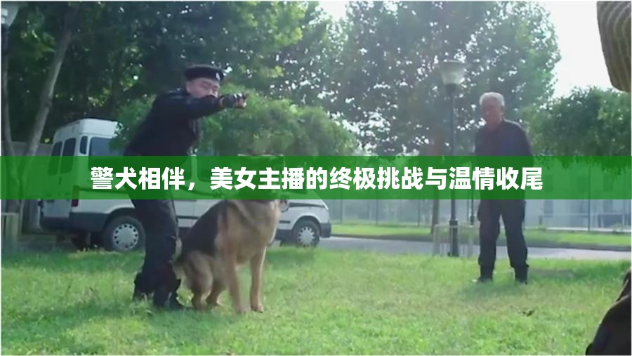 警犬相伴，美女主播的終極挑戰(zhàn)與溫情收尾