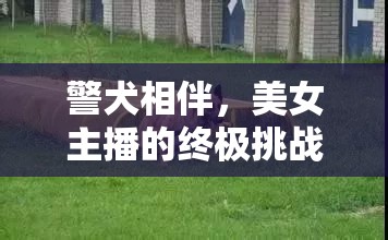警犬相伴，美女主播的終極挑戰(zhàn)與溫情收尾