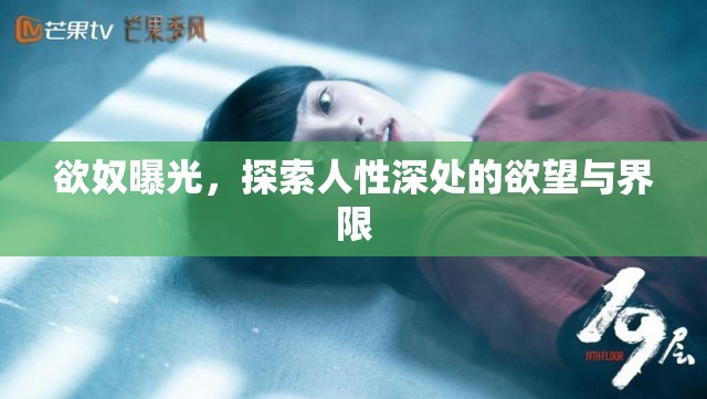 欲奴曝光，探索人性深處的欲望與界限