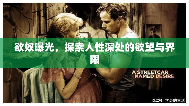 欲奴曝光，探索人性深處的欲望與界限