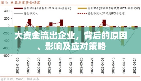 大資金流出企業(yè)，背后的原因、影響及應(yīng)對策略