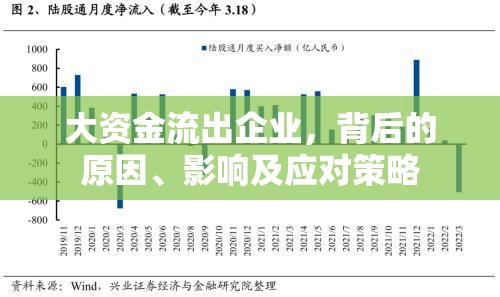 大資金流出企業(yè)，背后的原因、影響及應(yīng)對策略