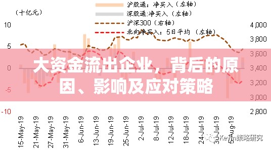 大資金流出企業(yè)，背后的原因、影響及應(yīng)對策略