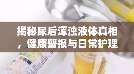 揭秘尿后渾濁液體真相，健康警報與日常護(hù)理指南