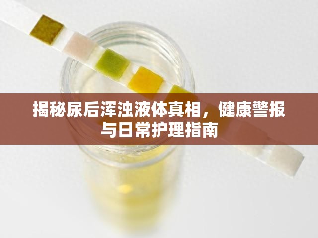揭秘尿后渾濁液體真相，健康警報與日常護(hù)理指南