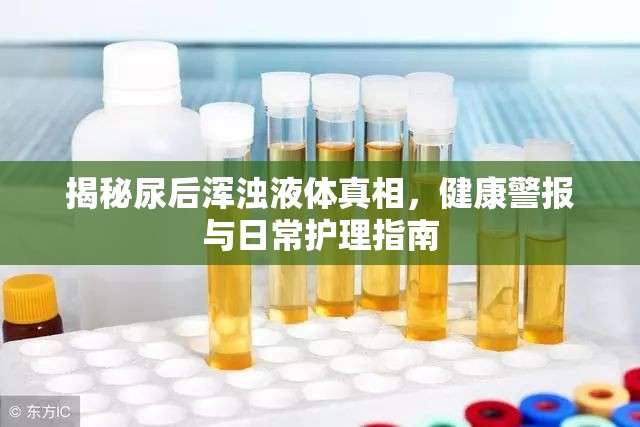 揭秘尿后渾濁液體真相，健康警報與日常護(hù)理指南
