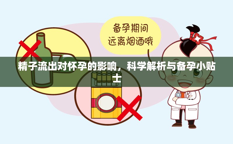 精子流出對懷孕的影響，科學(xué)解析與備孕小貼士
