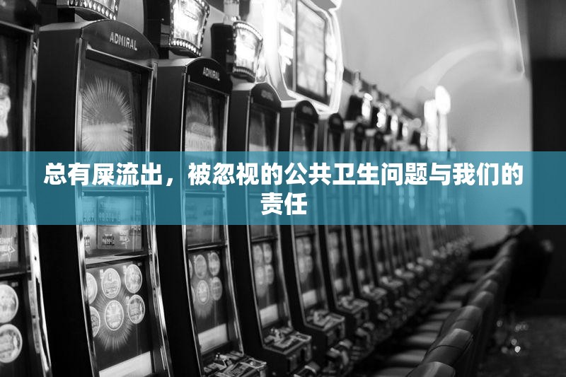 總有屎流出，被忽視的公共衛(wèi)生問題與我們的責任