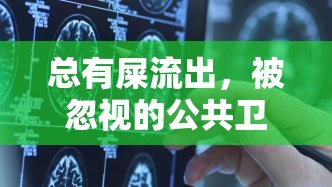 總有屎流出，被忽視的公共衛(wèi)生問題與我們的責任