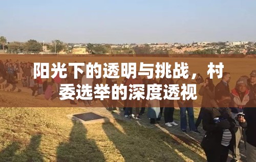 陽光下的透明與挑戰(zhàn)，村委選舉的深度透視