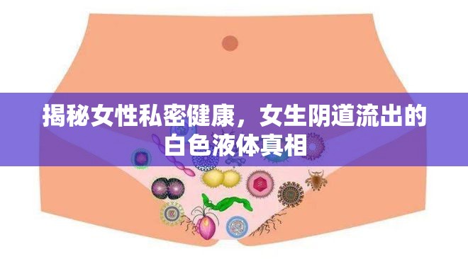 揭秘女性私密健康，女生陰道流出的白色液體真相