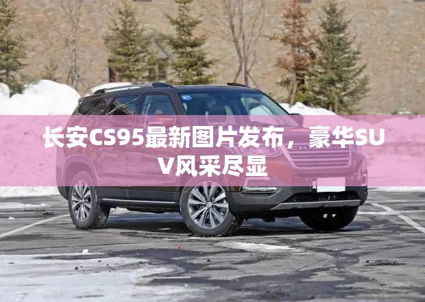 長安CS95最新圖片發(fā)布，豪華SUV風(fēng)采盡顯