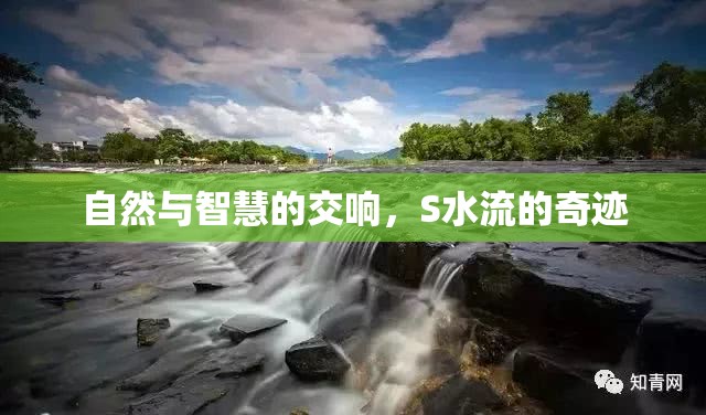 自然與智慧的交響，S水流的奇跡