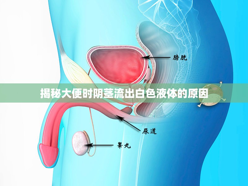揭秘大便時(shí)陰莖流出白色液體的原因