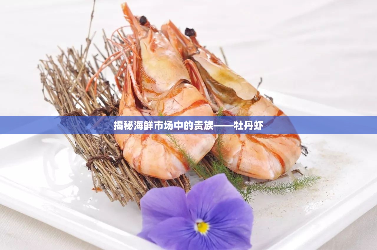 揭秘海鮮市場中的貴族——牡丹蝦