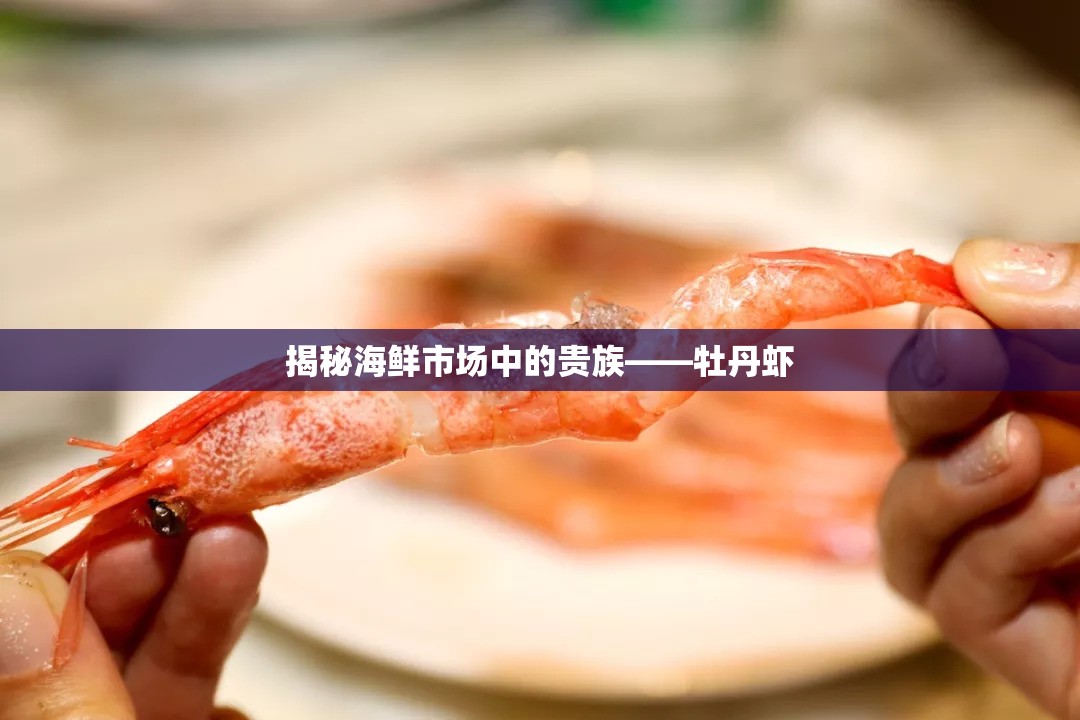 揭秘海鮮市場中的貴族——牡丹蝦