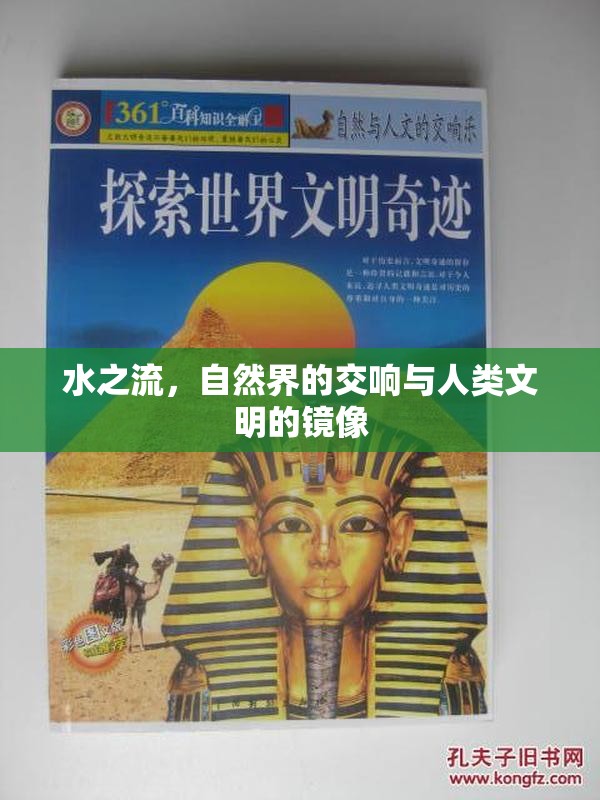 水之流，自然界的交響與人類文明的鏡像