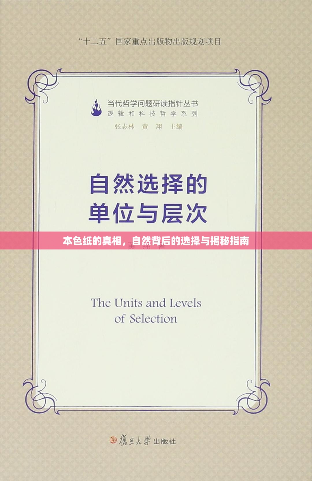 本色紙的真相，自然背后的選擇與揭秘指南