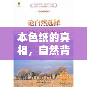 本色紙的真相，自然背后的選擇與揭秘指南