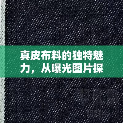 真皮布料的獨特魅力，從曝光圖片探索其質(zhì)感和工藝之美