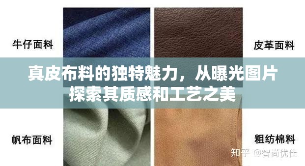 真皮布料的獨特魅力，從曝光圖片探索其質(zhì)感和工藝之美
