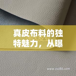 真皮布料的獨特魅力，從曝光圖片探索其質(zhì)感和工藝之美