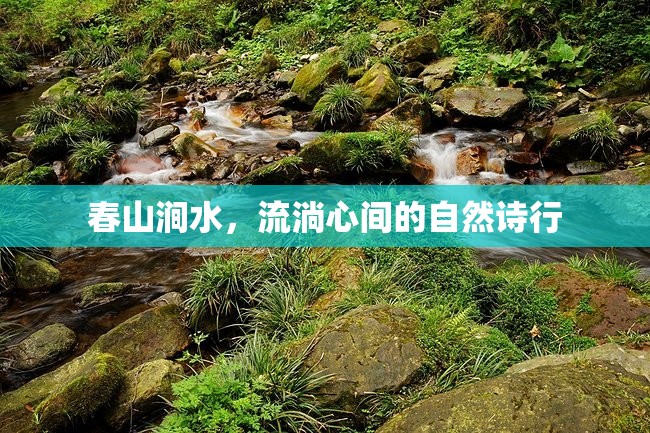 春山澗水，流淌心間的自然詩行
