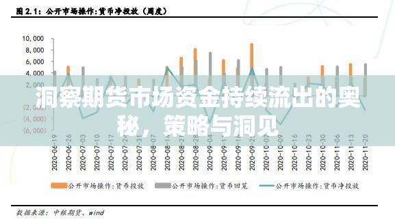 洞察期貨市場資金持續(xù)流出的奧秘，策略與洞見