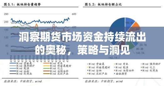 洞察期貨市場資金持續(xù)流出的奧秘，策略與洞見