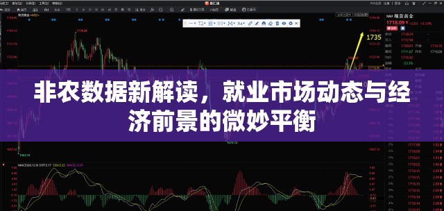 非農(nóng)數(shù)據(jù)新解讀，就業(yè)市場動(dòng)態(tài)與經(jīng)濟(jì)前景的微妙平衡