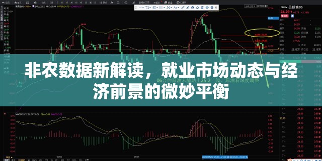非農(nóng)數(shù)據(jù)新解讀，就業(yè)市場動(dòng)態(tài)與經(jīng)濟(jì)前景的微妙平衡