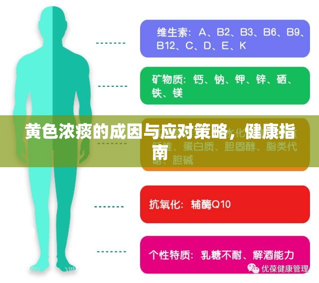 黃色濃痰的成因與應(yīng)對(duì)策略，健康指南